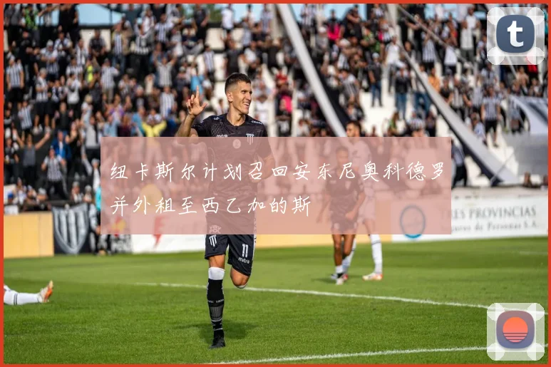 纽卡斯尔计划召回安东尼奥科德罗并外租至西乙加的斯