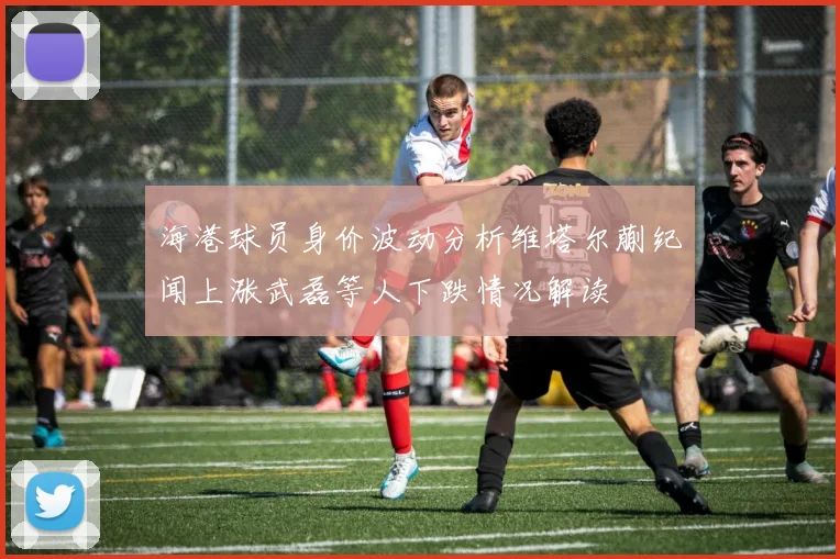 海港球员身价波动分析维塔尔蒯纪闻上涨武磊等人下跌情况解读