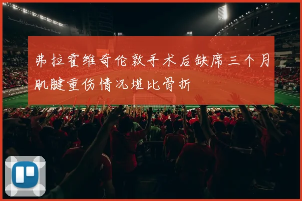 弗拉霍维奇伦敦手术后缺席三个月肌腱重伤情况堪比骨折